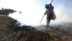 Seudoinquietud ambiental, por Rafael Belaunde A.