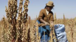 COP 20: Mujeres indígenas son vitales ante el cambio climático