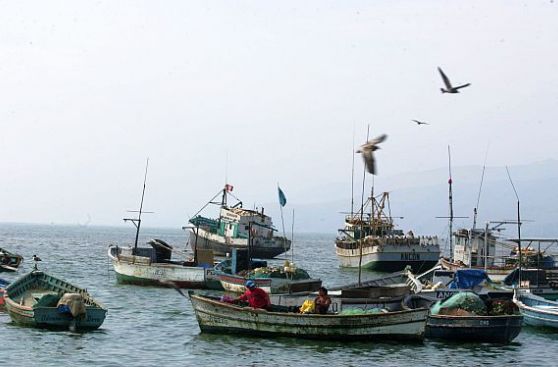 Editorial: Dogmatismo en el sector pesca