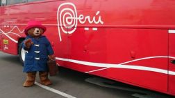 Oso Paddington recibió su DNI amarillo en sede de Reniec