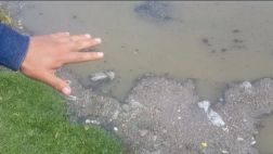 Aguas servidas con arsénico y plomo llegan al lago Titicaca
