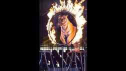 México prohíbe espectáculos con animales silvestres en circos