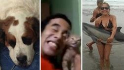 Maltrato animal: los últimos y más indignantes casos