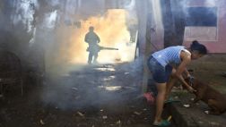 Descubren anticuerpo capaz de neutralizar el virus del dengue
