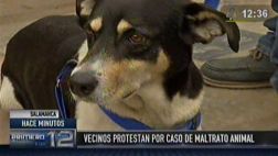 Perro maltratado en Salamanca: vecinos realizan protesta