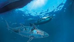 EE.UU. prueba robot espía submarino con forma de pez