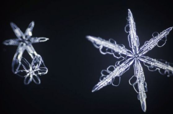 Estos son los videos científicos más espectaculares del 2014