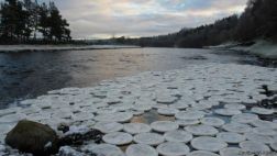 ¿Qué son y cómo se forman los curiosos "panqueques de hielo"?