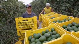 Se priorizará la promoción de 23 líneas de productos en 2015