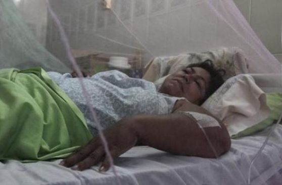Dengue: ¿cuánto cuesta el tratamiento?