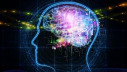 ¿Es posible llevar una vida normal con solo medio cerebro?