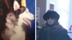 EE.UU.: mujer sacrificó al perro de su vecino enfermo de cáncer