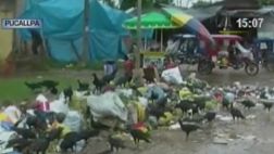 Gallinazos hurgan entre basura arrojada en calles de Pucallpa