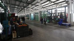 Contraloría denuncia irregular arbitraje en caso EMMSA – Relima