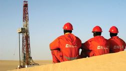 Producción de petróleo y líquidos de gas se redujo 13,5%