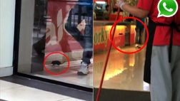 Vía WhatsApp: otra rata aparece en Centro Comercial Plaza Norte