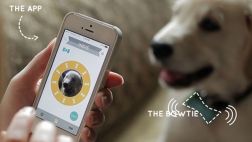 CES 2015: WoofWonder, un sensor especial para monitorear perros
