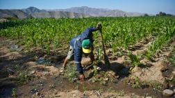 Preparan recuperación del acuífero de Ica y acueductos de Nasca