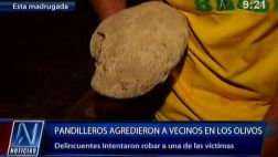 Los Olivos: pandilleros robaron y agredieron a grupo de vecinos