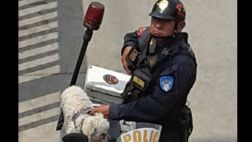 Policía que rescató a perro en Panamericana Sur fue condecorado