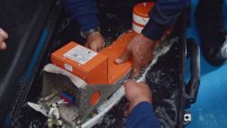 ¿Qué pistas pueden ofrecer cajas negras del avión de AirAsia?