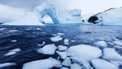 ¿Se debería prohibir el turismo en Antártica?