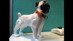 La moda de los sensores de ubicación llega a las mascotas