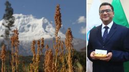 Bolivia desmiente al Perú y afirma que aún es líder en quinua