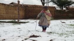 Granizada en Junín afectó casas, cultivos y ganado