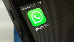 Wasapitos a mí, por Gustavo Rodríguez