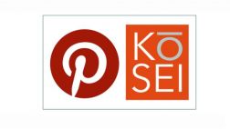 Pinterest desea impulsar su sistema de publicidad