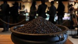 Descubren en el café proteína con efecto similar a la morfina