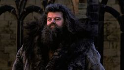 "Harry Potter": 'Hagrid' fue hospitalizado en Estados Unidos