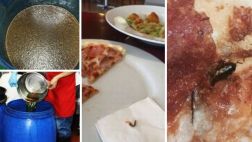 Roedores y cucarachas: otros escándalos en locales de fast food