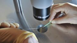 Lo que debes saber sobre la donación de mitocondrias