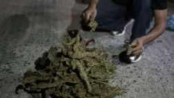 Argentina: niño de 7 años llevaba mochila llena de marihuana