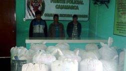 Policía intervino un vehículo con 600 kilos de hoja de coca