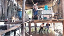 El pueblo que quiere reubicarse por el desborde del Huallaga