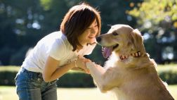 Aprende a educar a tu mascota con estos consejos