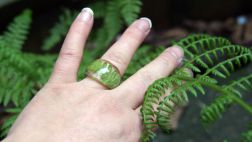 Lleva la naturaleza siempre contigo dentro de estos accesorios
