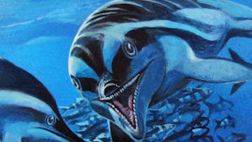 Fósil de un inédito ictiosaurio pasó inadvertido por 30 años