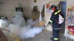 Más de 400 casos de dengue se han registrado este año en Tumbes