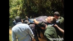 El holandés que le debe la vida a un árbol en Sri Lanka