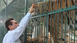 México: rescatan más de 100 animales de zoológico de diputado