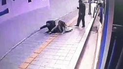 ¿Qué pasó con la pareja que desapareció en este cráter?