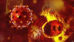 VIH: drogas antivirales preventivas reducen tasas de infección