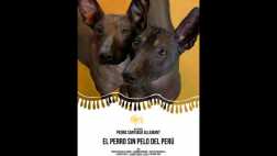 El perro sin pelo peruano llega al Teatro Mario Vargas Llosa