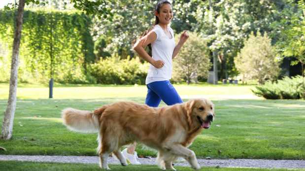 Por estas razones es bueno salir a correr con tu perro