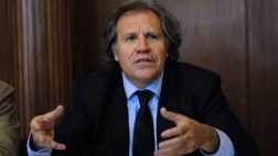 Cómo ser secretario general de la OEA, por El Tunche