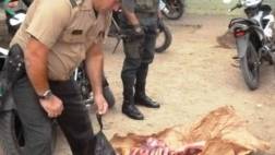 Piura: carne de caballo era vendida en el mercado de Sullana